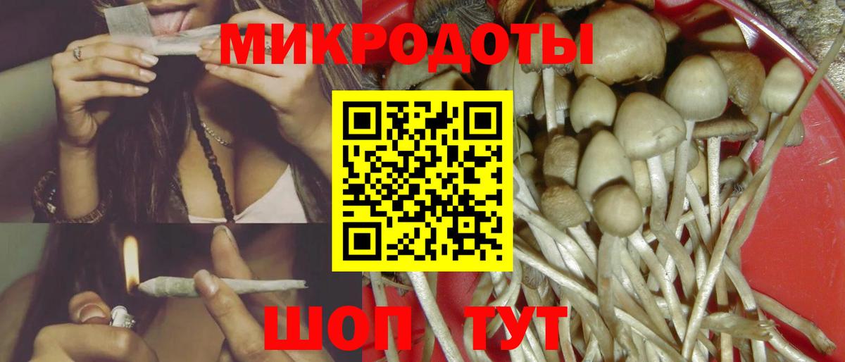 Галлюциногенные грибы Psilocybine cubensis  Вход с VPN  Кольчугино  как найти закладки  Псилоцибиновые грибы GOLDEN TEACHER 