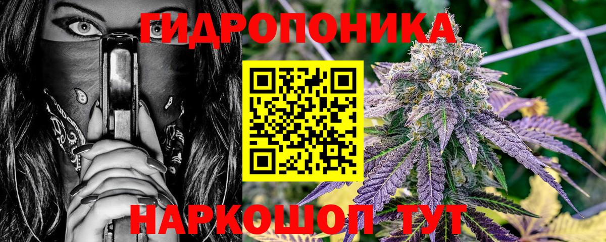 Марихуана тримм  Вход с VPN  Кольчугино  Каннабис Bruce Banner  Канабис Bruce Banner 